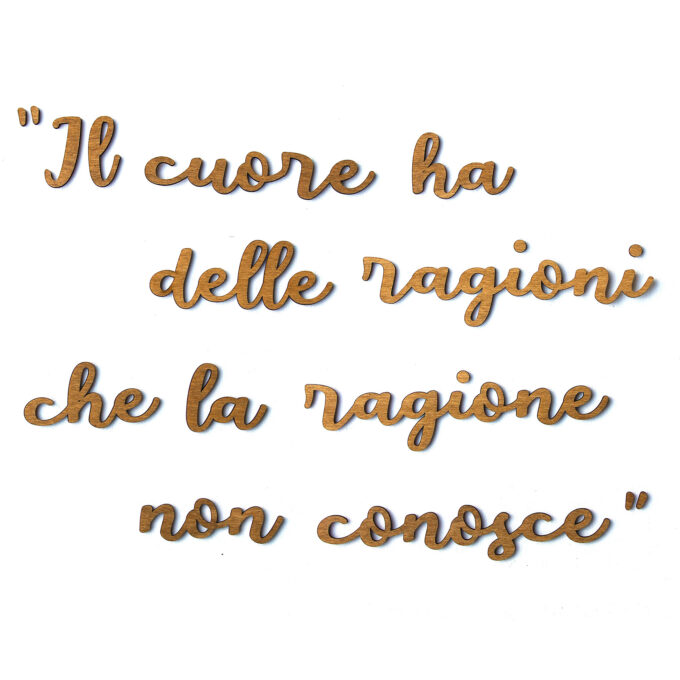 Il cuore ha delle ragioni
