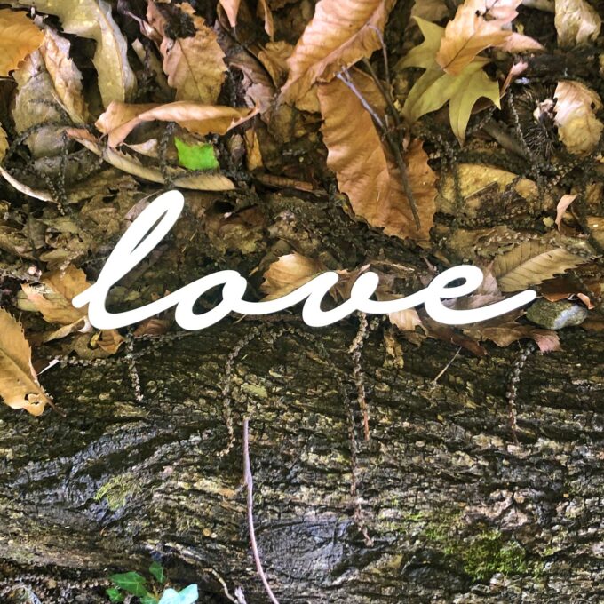 Live love dream - immagine 5