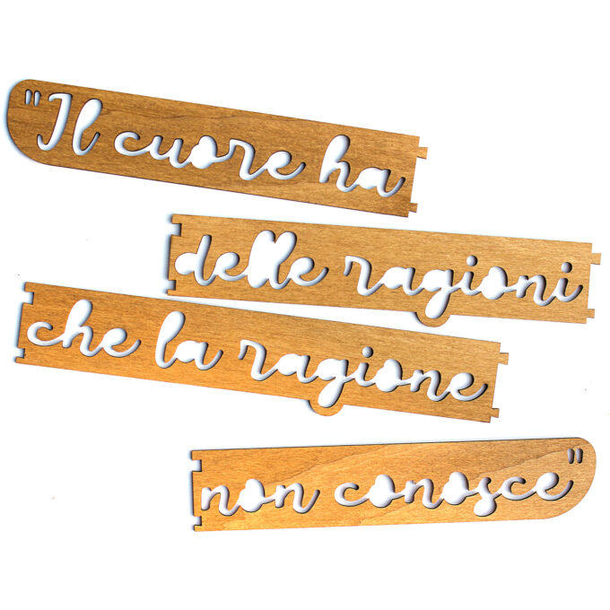 Il cuore ha delle ragioni - immagine 5