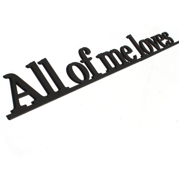 All of me loves - immagine 3