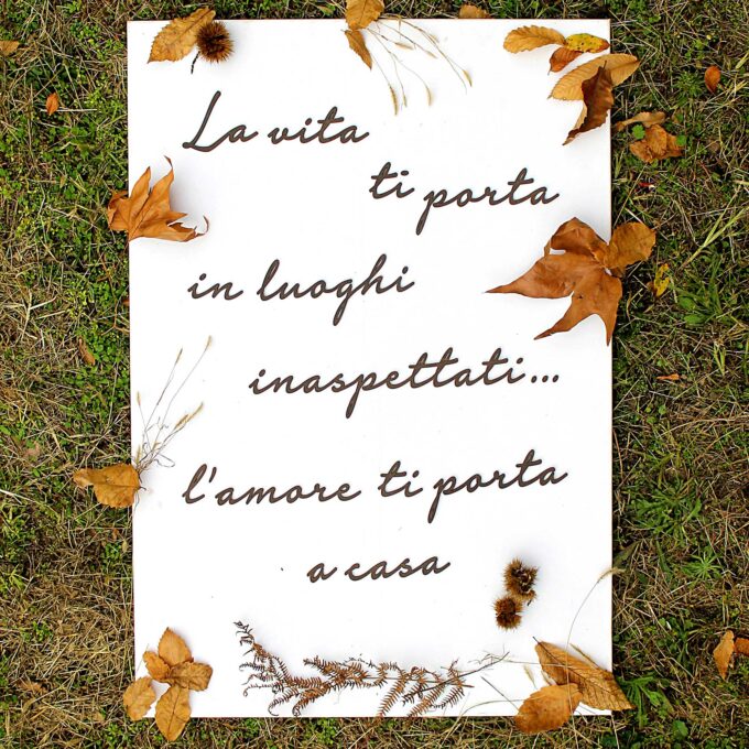 La vita ti porta - immagine 2