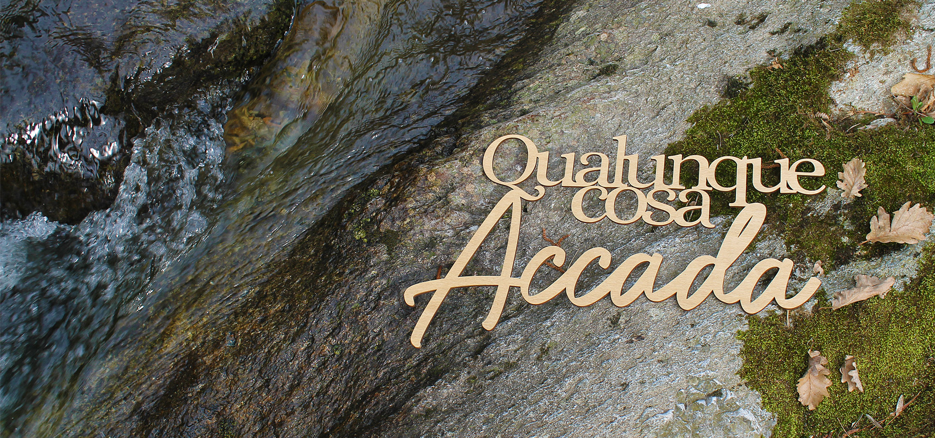 qualunque cosa accada in legno