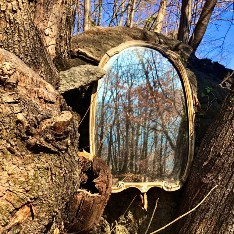 specchio nel bosco